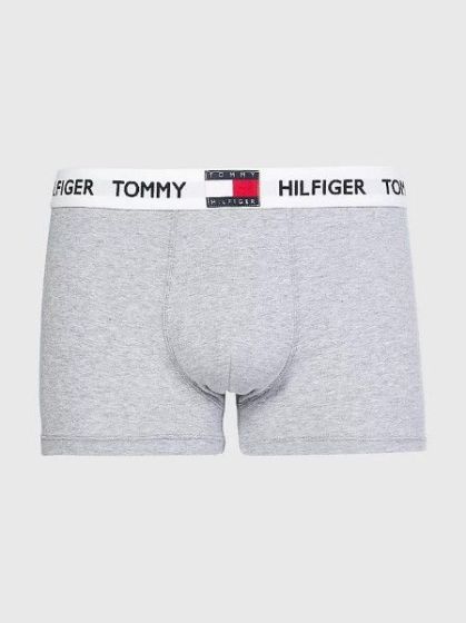 Tommy Hilfiger Trunk Light Grey