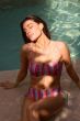 Cyell Beach Tropical Lines Voorgevormde Bikini