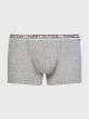 Tommy Hilfiger Trunk Light Grey