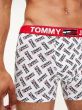 Tommy Hilfiger Trunk Print