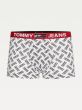 Tommy Hilfiger Trunk Print