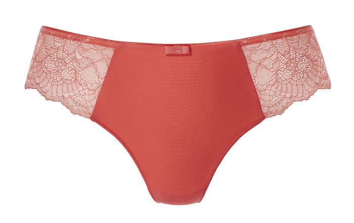 Dacapo Festivo String