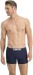 Levi's Solid Basic Organic Boxer Brief 2P