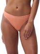 Chantelle Pulp Swim One Size Bikini Tanga