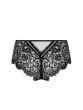 Lise Charmel Desirs De Venise Shorty 