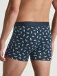 Calida Cotton Code Design Boxer Brief