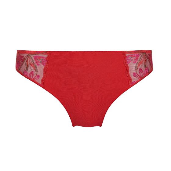 Dacapo Tango String