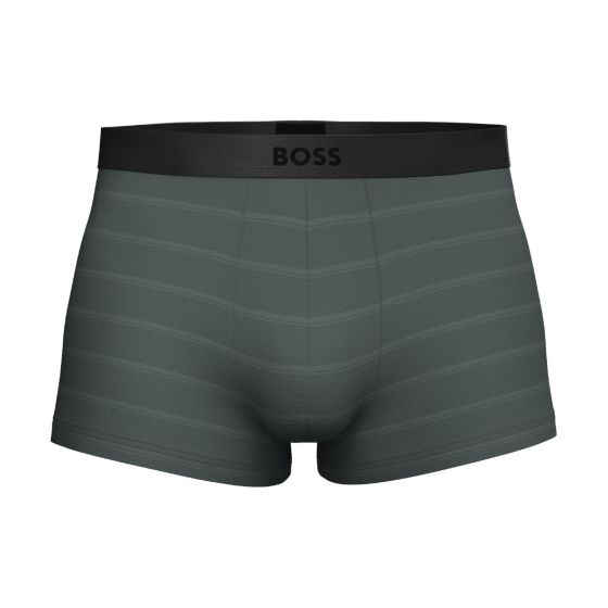 Hugo Boss Shiny Trunk