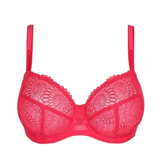 Prima Donna Sophora Beugelbeha Raspberry