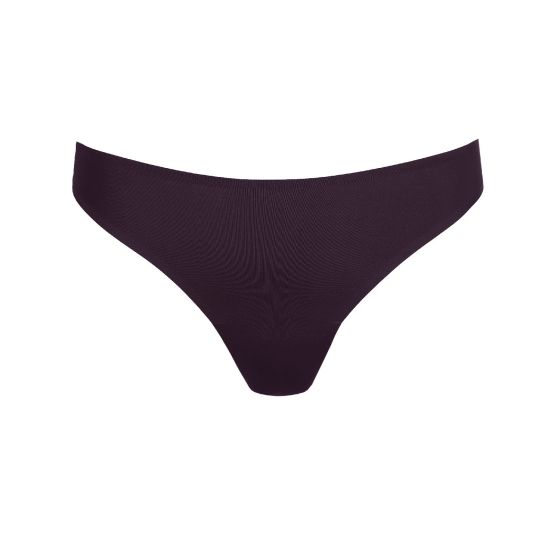 MJ COLOR STUDIO AME Naadloze String