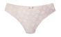 Dacapo Daisy String