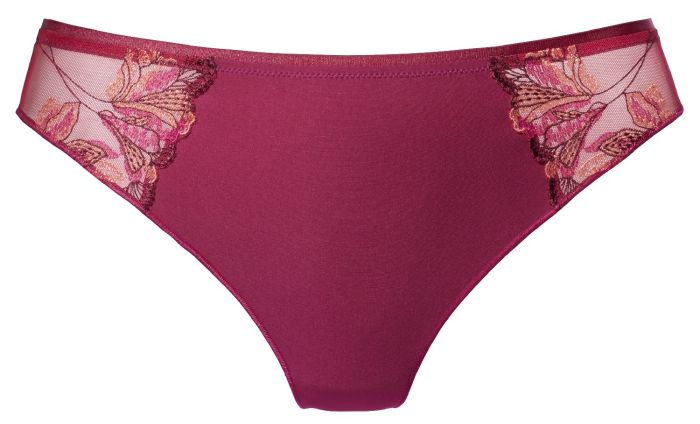 Dacapo Tonika String