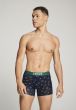 Levi's Men Cactus Boxer Brief 2P