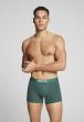 Levi's Men Cactus Boxer Brief 2P