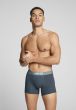 Levi's Men Cactus Boxer Brief 2P