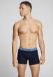 Levi's Monstera Leaf Boxer Brief 2P