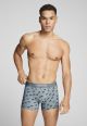 Levi's Men Cactus Boxer Brief 2P