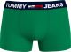 Tommy Hilfiger Trunk Primary Green