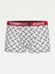 Tommy Hilfiger Trunk Print