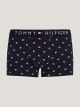 Tommy Hilfiger Trunk Print