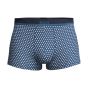 Hugo Boss Trunk 365 Print
