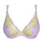 PD IXIA WIA Plunge Beha Halve Mousse Cups