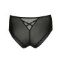 ZIPOLITE ZWA Hotpants