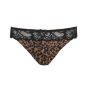 Prima Donna Madison String Bronze