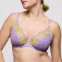 PD IXIA WIA Plunge Beha Halve Mousse Cups
