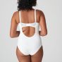 SPRINGDALE NAT Body 